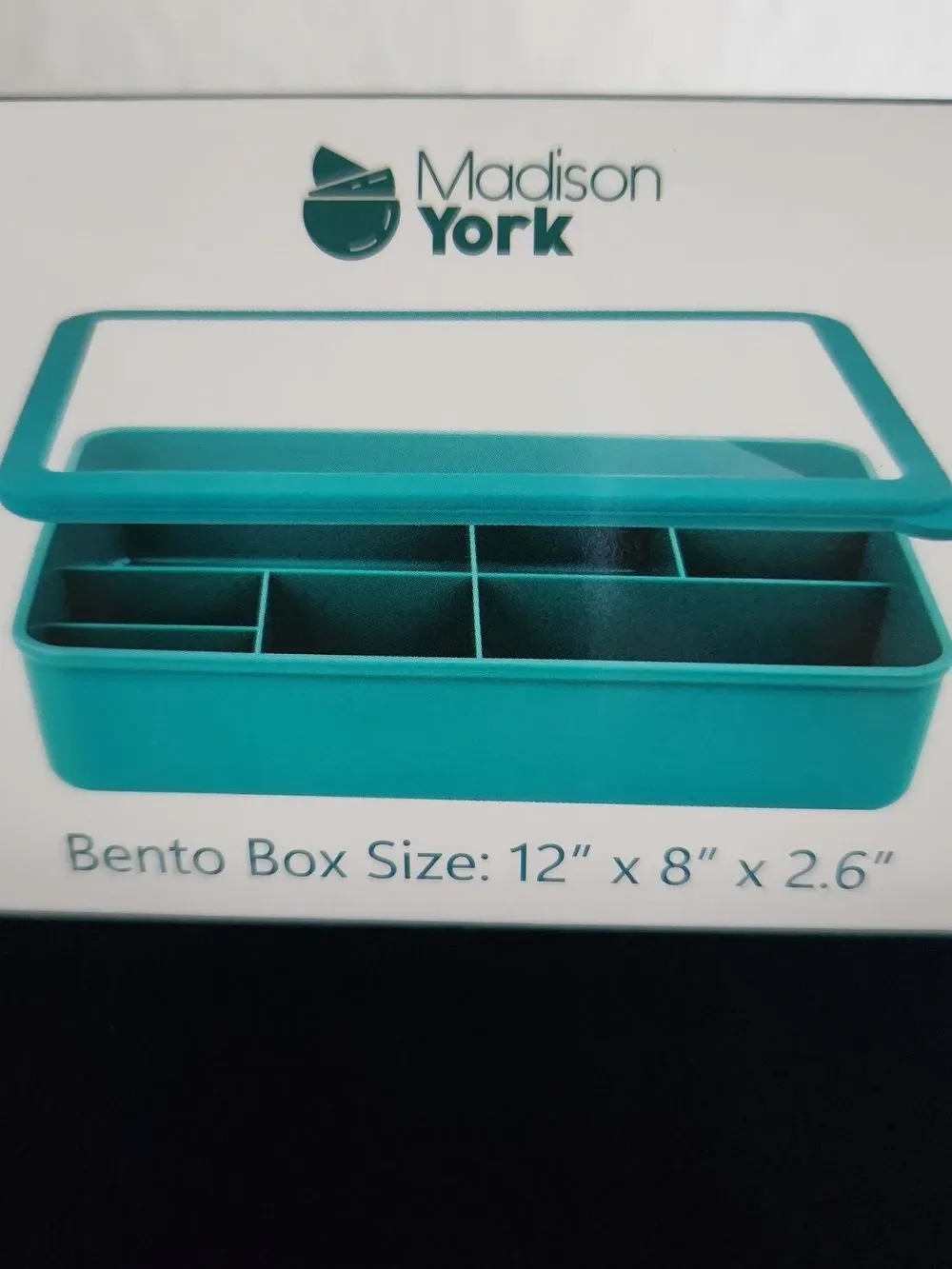 Madison York 8 Compartment Bento Box Container in Teal 12x8x2.6 BPA Free